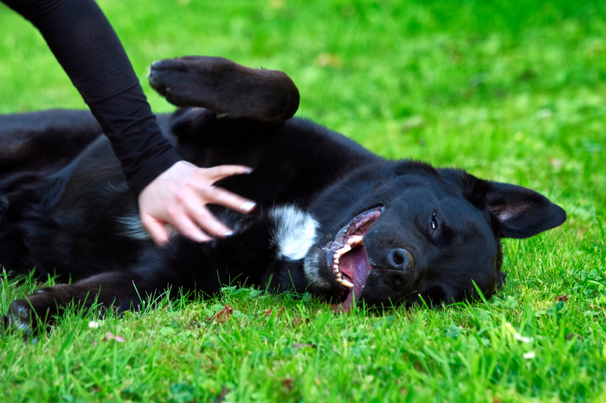iStock_000059749710_Small iStock_000059749710_Small